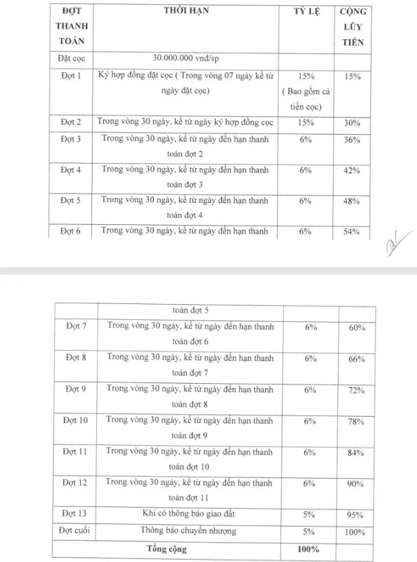 Phương thức thanh toán dự án an huy mỹ việt long an